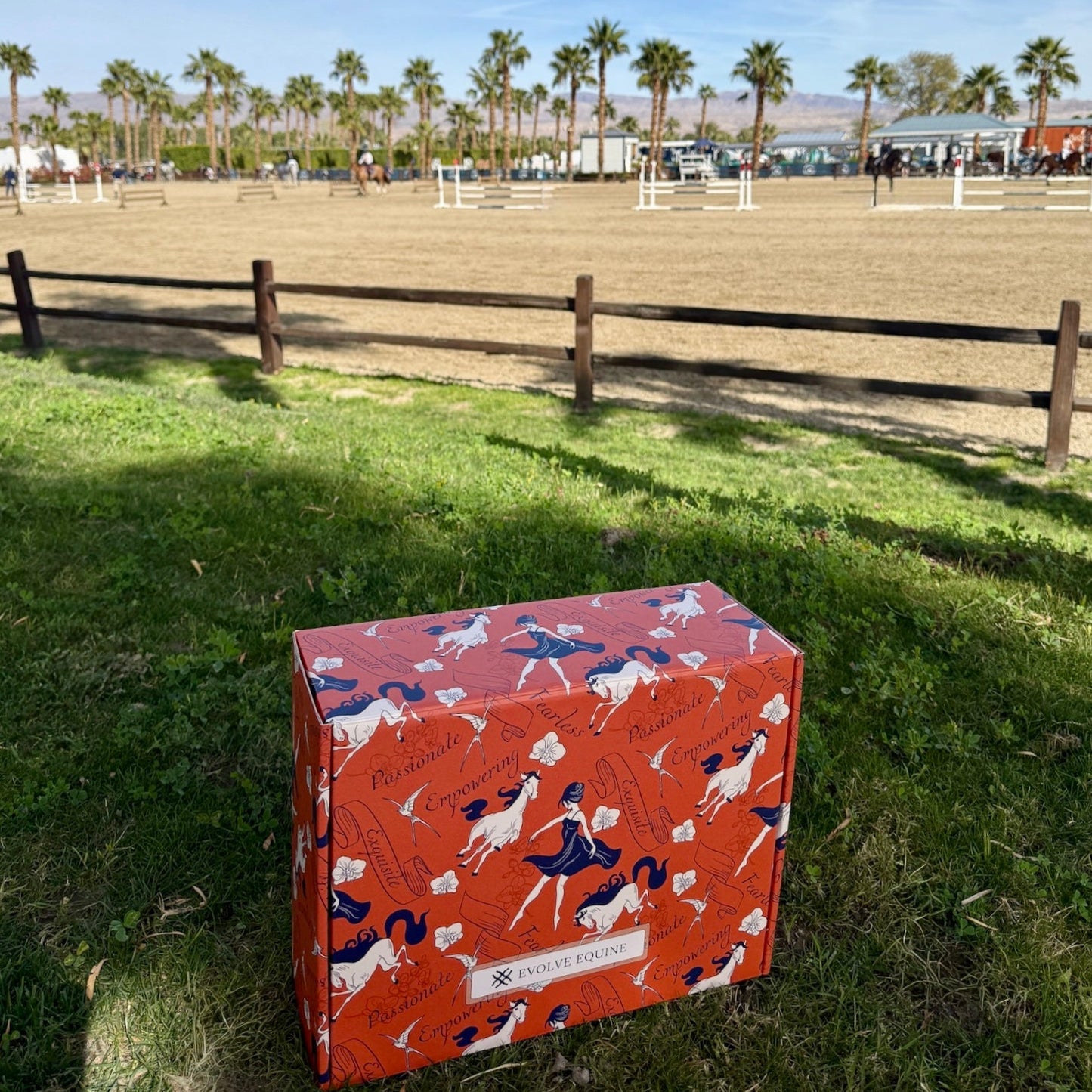 Summer 2025: Evolve Equine Box